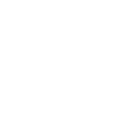 Raven AI Agent